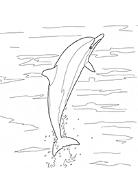 דפי צביעה דולפין - דף מס. 13