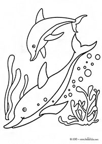 דפי צביעה דולפין - דף מס. 22