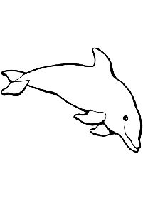 דפי צביעה דולפין - דף מס. 25