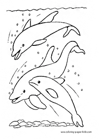 דפי צביעה דולפין - דף מס. 4