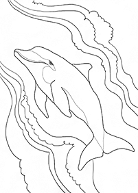 דפי צביעה דולפין - דף מס. 5