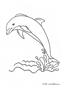 דפי צביעה דולפין - דף מס. 6