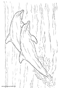 דפי צביעה דולפין - דף מס. 65