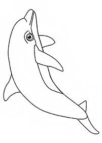 דפי צביעה דולפין - דף מס. 69