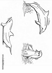 דפי צביעה דולפין - דף מס. 74