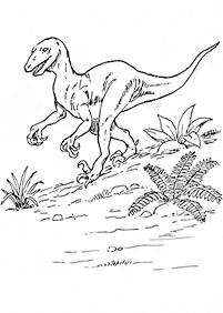 דפי צביעה דינוזאורים - דף מס. 65