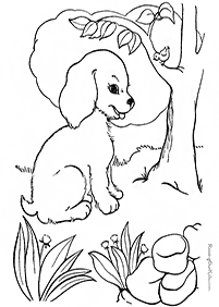 דפי צביעה כלבים (להדפסה) - דף מס. 24