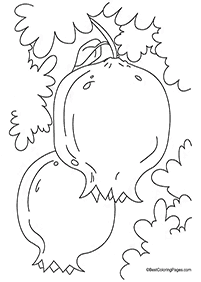 דפי צביעה לראש השנה - רימונים - דף מס' 16