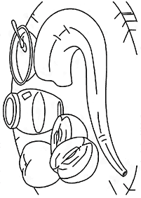 דפי צביעה לראש השנה - שופר ותפוח עם דבש - דף מס' 8