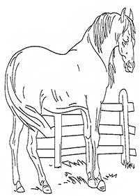 דפי צביעה סוסים - דף מס. 16