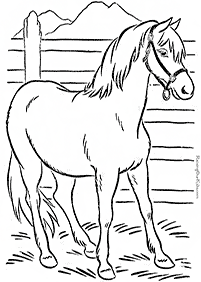 דפי צביעה סוסים - דף מס. 73