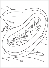 דפי צביעה פירות פפאיה - 4