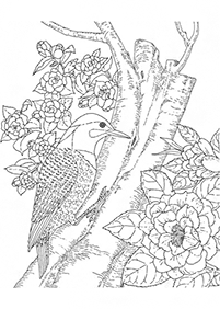 דפי צביעה פרחים (להדפסה) - דף מס. 21