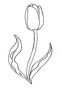 דפי צביעה פרחים (להדפסה) - דף מס. 32
