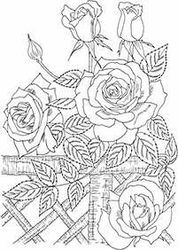 דפי צביעה פרחים (להדפסה) - דף מס. 34