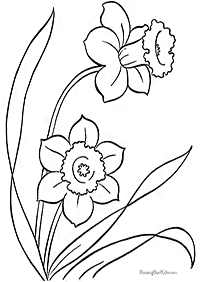 דפי צביעה פרחים (להדפסה) - דף מס. 80