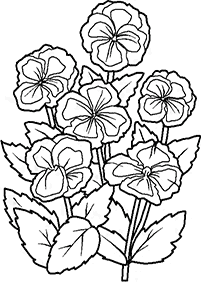 דפי צביעה פרחים (להדפסה) - דף מס. 97
