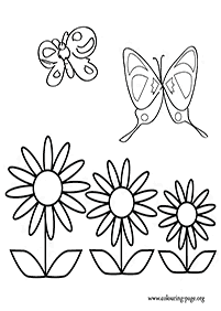 דפי צביעה של פרפרים להדפסה - דף מס. 12