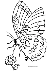 דפי צביעה של פרפרים להדפסה - דף מס. 14