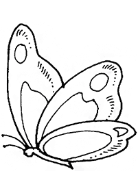 דפי צביעה של פרפרים להדפסה - דף מס. 53