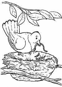 דפי צביעה ציפורים - דף מס. 105