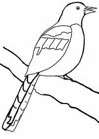 דפי צביעה ציפורים - דף מס. 123