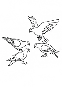דפי צביעה ציפורים - דף מס. 125