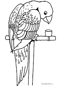 דפי צביעה ציפורים - דף מס. 96