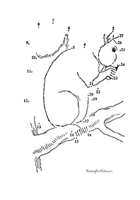 חיבור קו נקודה - דפי עבודה לילדים - דף מס. 77