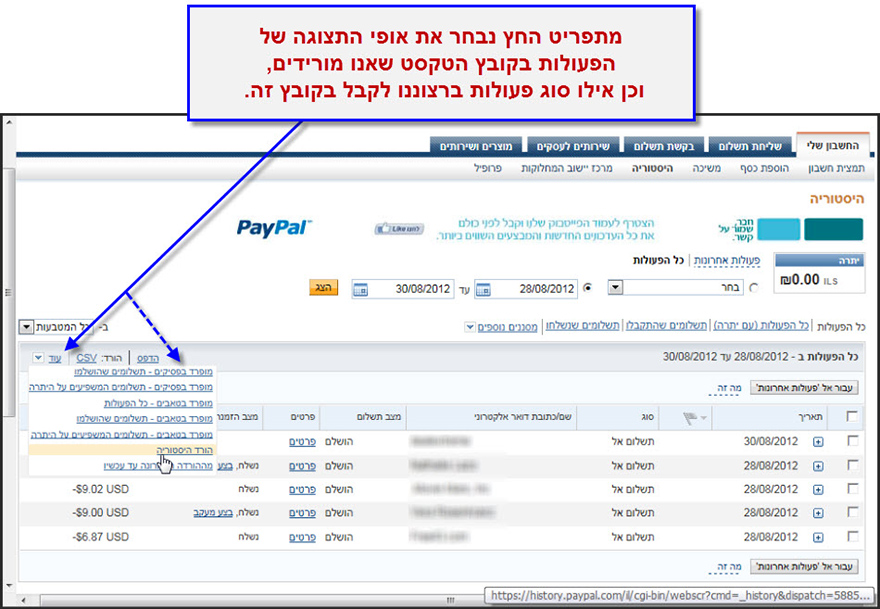 מדריך הורדת הסטוריית פעולות חשבון הפייפל שלנו לקובץ 2