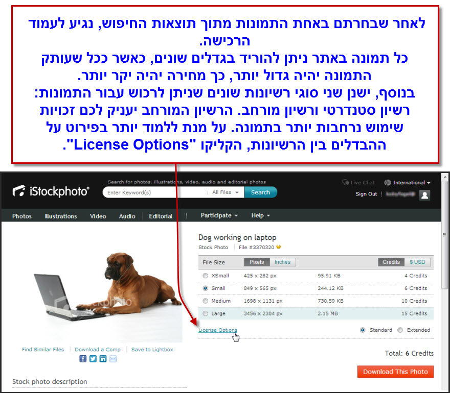 istockphoto סוגי רשיונות